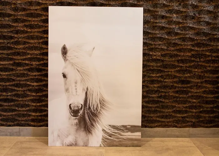 & Breakfast Fjord 3* Niederpallen